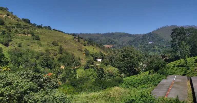 against the world: Idiom Meaning and Origin