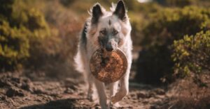 bend to someone's will: Idiom Meaning and Origin - The Village Idiom