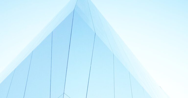 blue state: Idiom Meaning and Origin