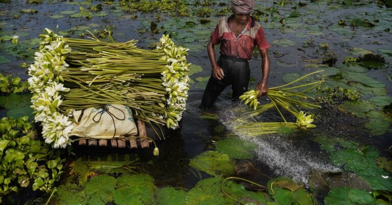 hewers of wood and drawers of water: Idiom Meaning and Origin