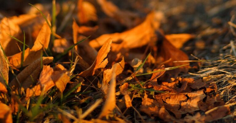 facts on the ground: Idiom Meaning and Origin