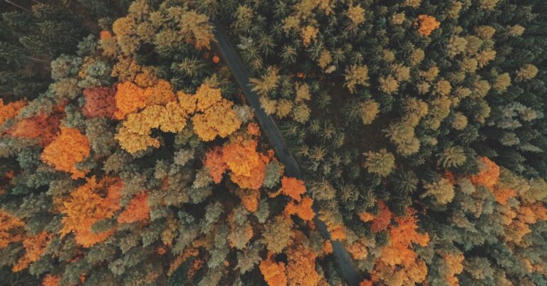 fall behind: Idiom Meaning and Origin