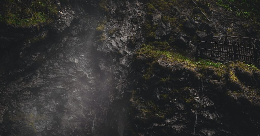 see the forest for the trees: Idiom Meaning and Origin - The Village Idiom