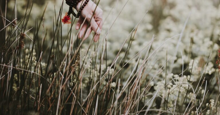 hand-in-glove: Idiom Meaning and Origin