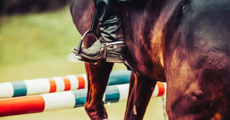 enough to choke a horse: Idiom Meaning and Origin