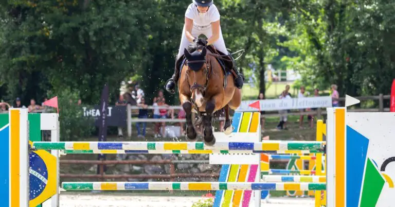 willing horse: Idiom Meaning and Origin