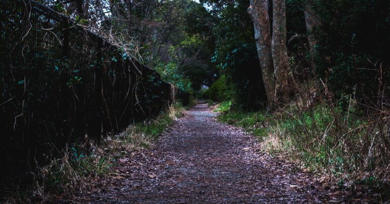 pave the way: Idiom Meaning and Origin