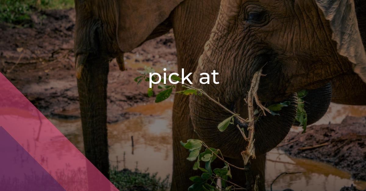 Pick At Idiom Meaning And Origin The Village Idiom Pick At Idiom Meaning And Origin The Village Idiom