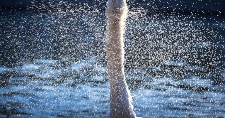 shake out: Idiom Meaning and Origin