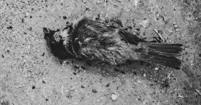 dead center: Idiom Meaning and Origin