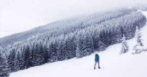 reign supreme: Idiom Meaning and Origin - The Village Idiom