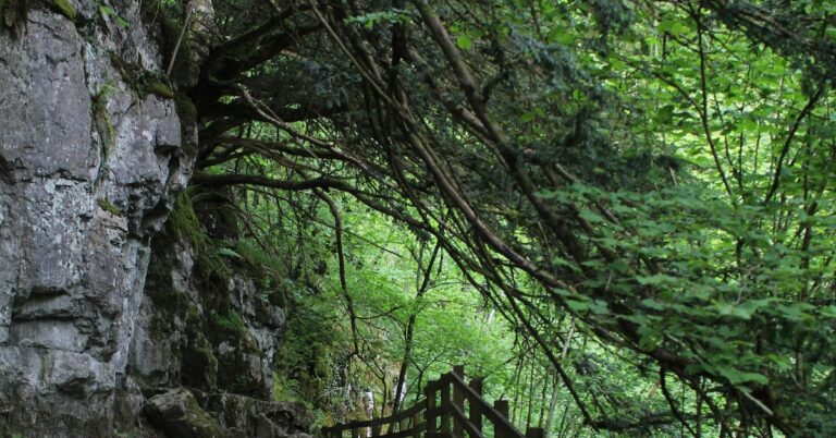 throw off the trail: Idiom Meaning and Origin