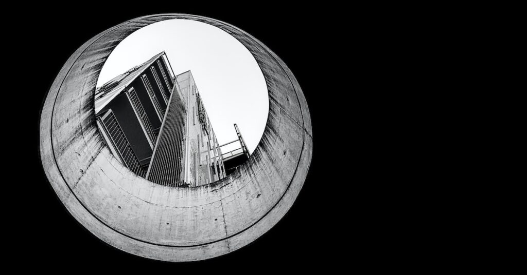 see the trees through the forest: Idiom Meaning and Origin - The ...