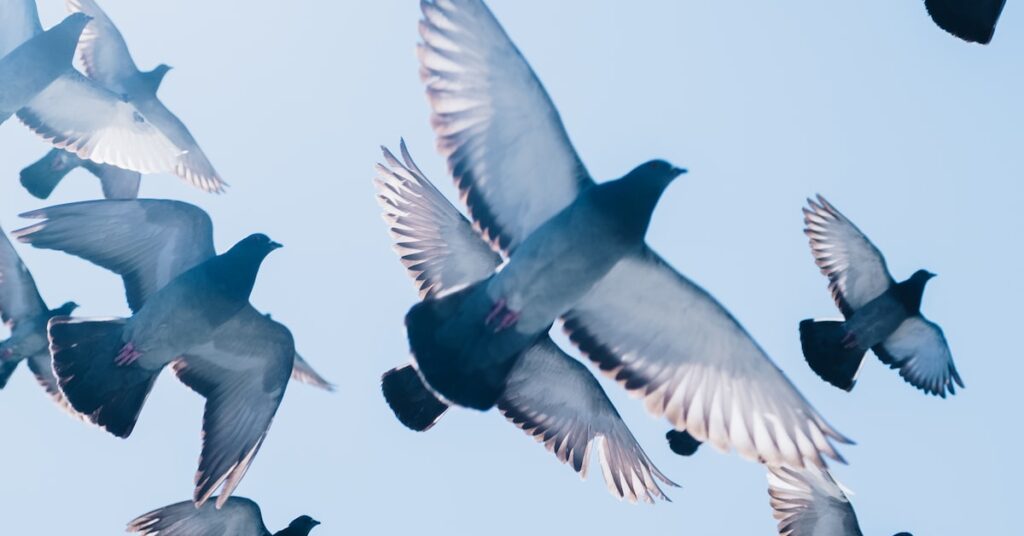 get wind of idiom meaning